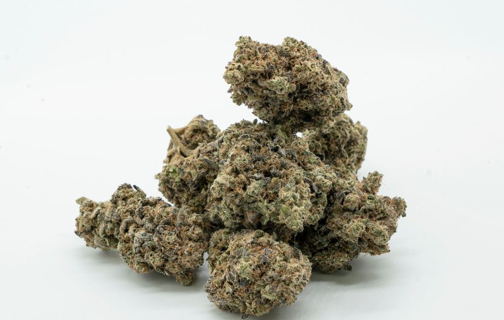 Gelato Strain THCa